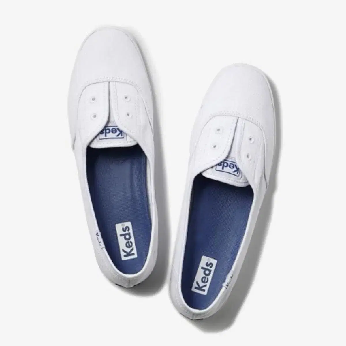 KEDS) 칠랙스 미니트윌 240size