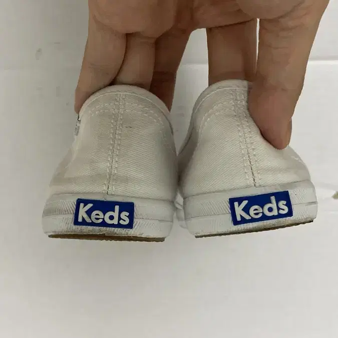 KEDS) 칠랙스 미니트윌 240size