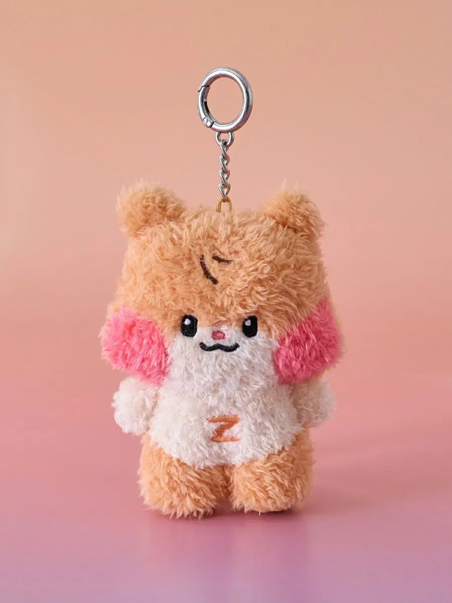 Unsealed) ZEROBASEONE BINNINI (Sung Hanbin) doll Transfer of keyring