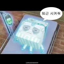 각 3.4 스키주 스키즈 도미네이트 md 플러피 마그넷 키링 리빗 뽁아리