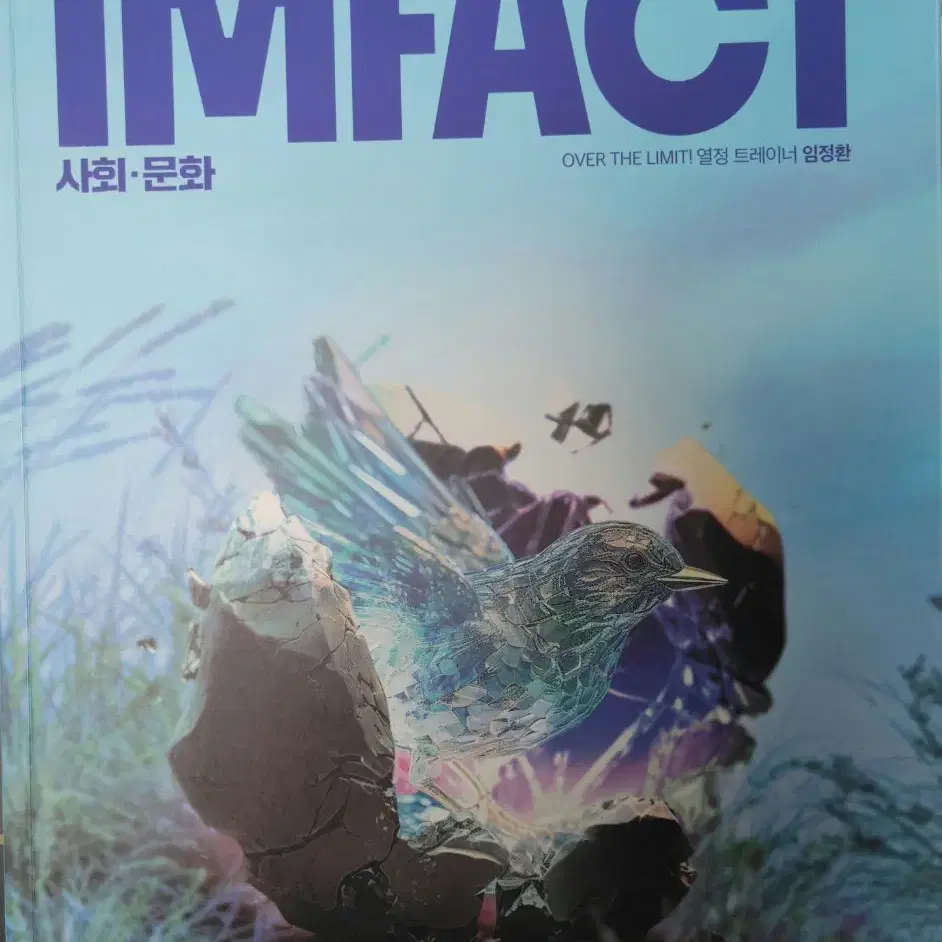 2025 임정환T 사회문화 100=END, IMFACT