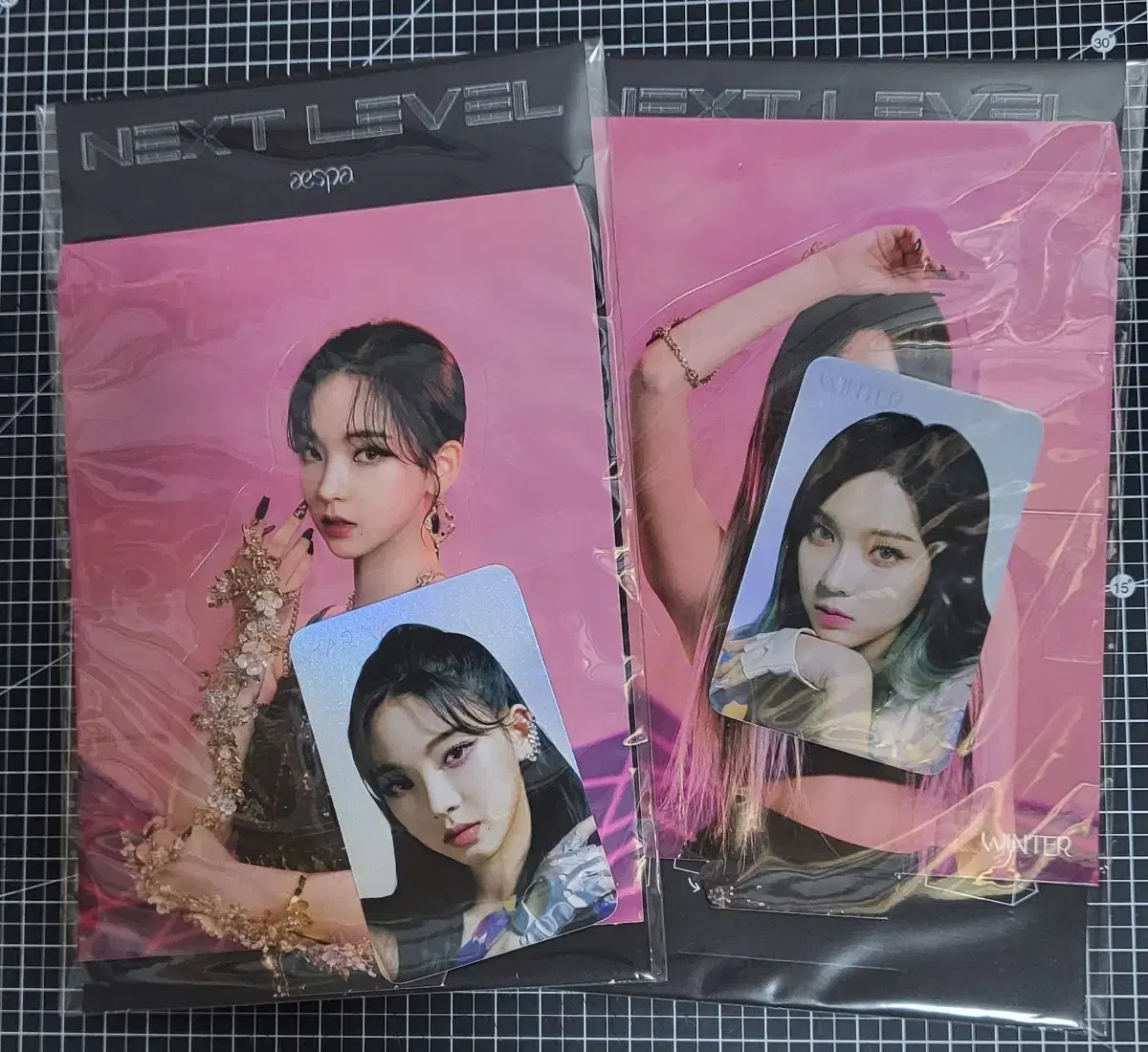 Aespa Next Level Necklace hologram photocard unsealed/ karina winter holka