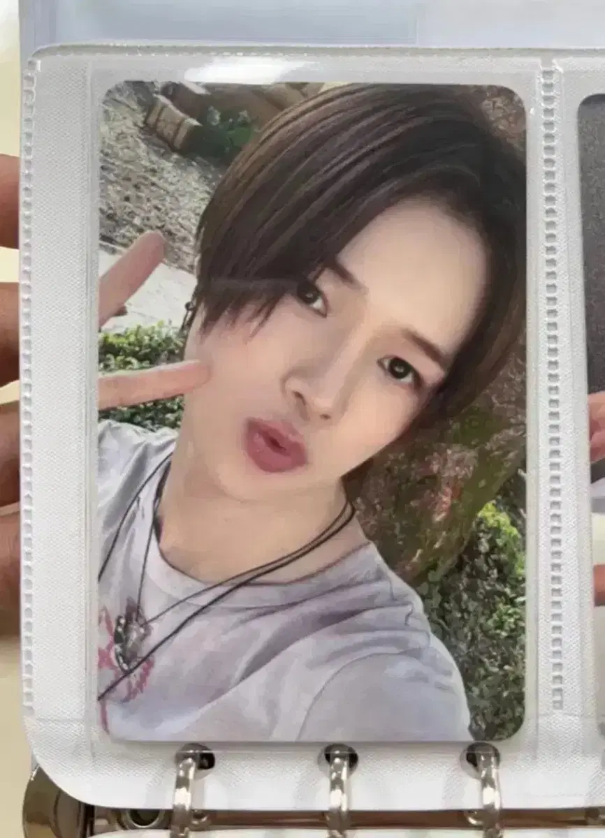 &team kay photocard FreeShare