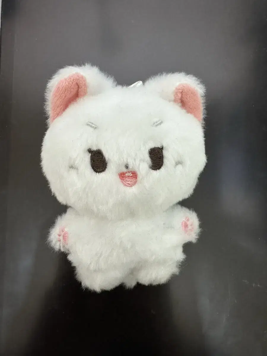 doyoung doll 또냥이 wts