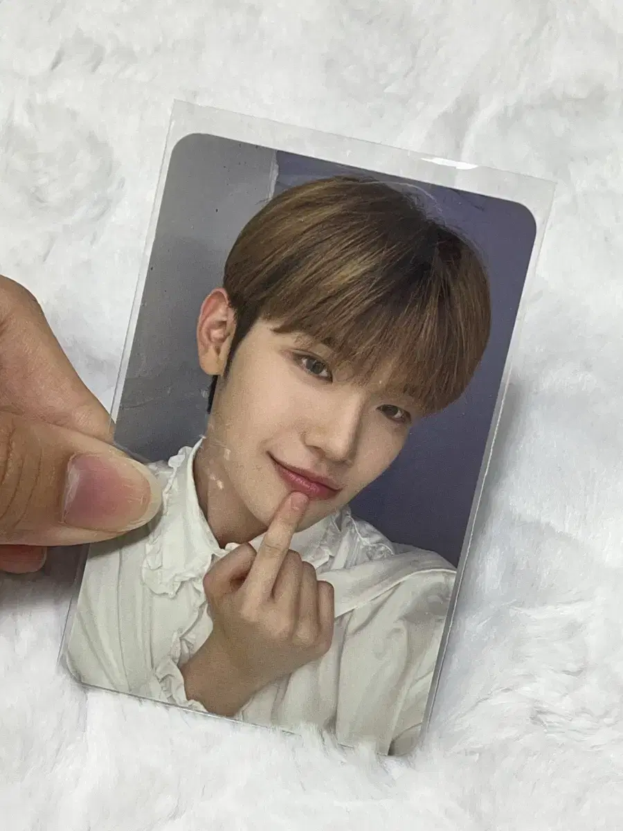 Zerobaseone L-Holder taerae photocard holder