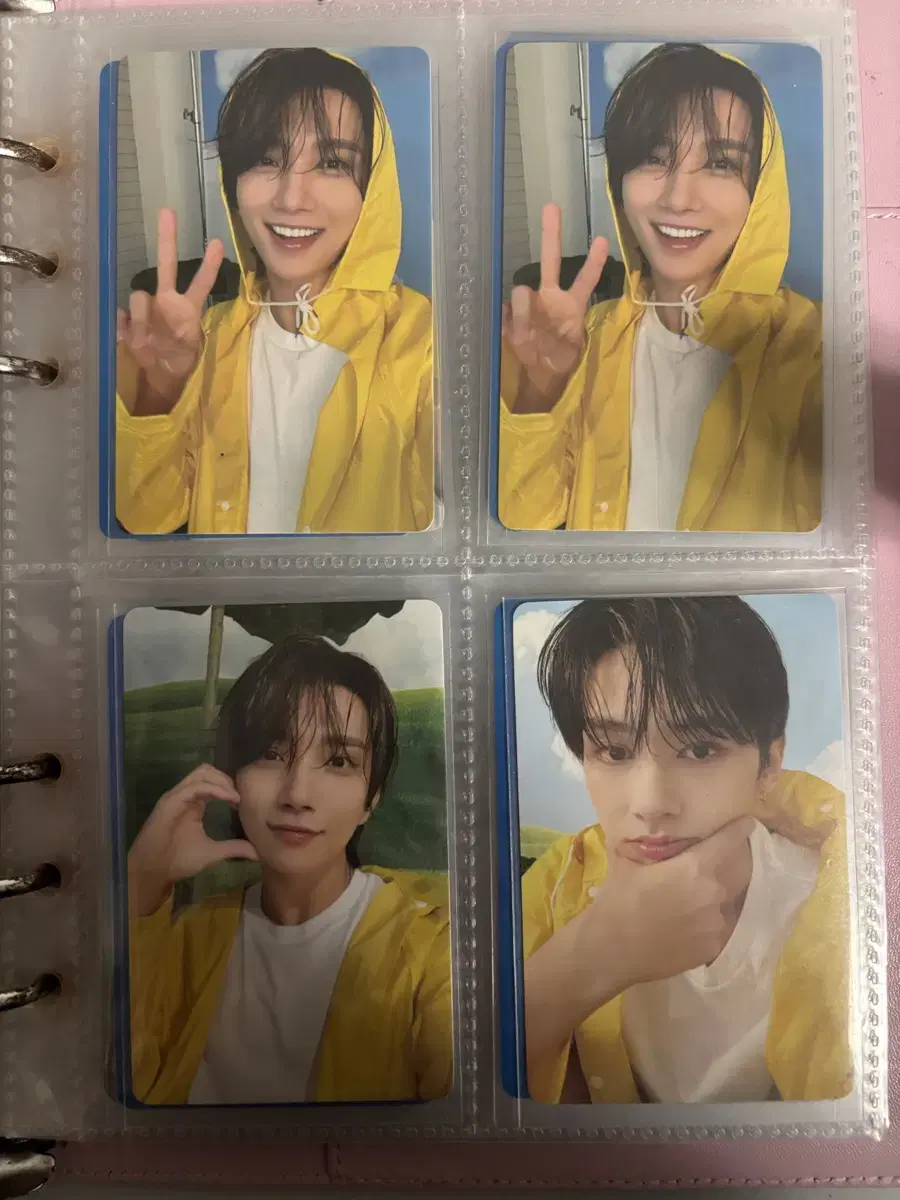 Seventeen photocards.