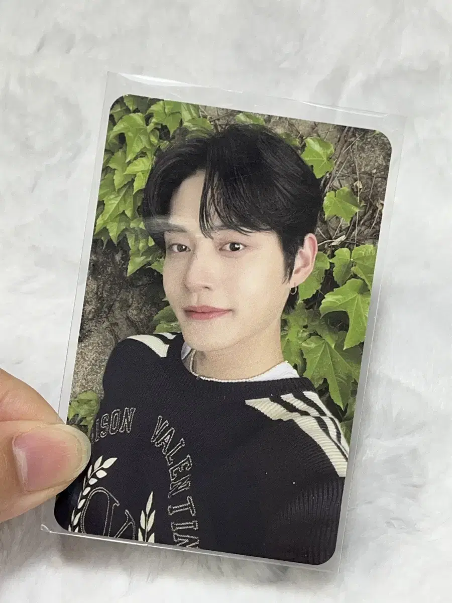 Zerobaseone Zeroes Kit 1 kim jiwoong photocard