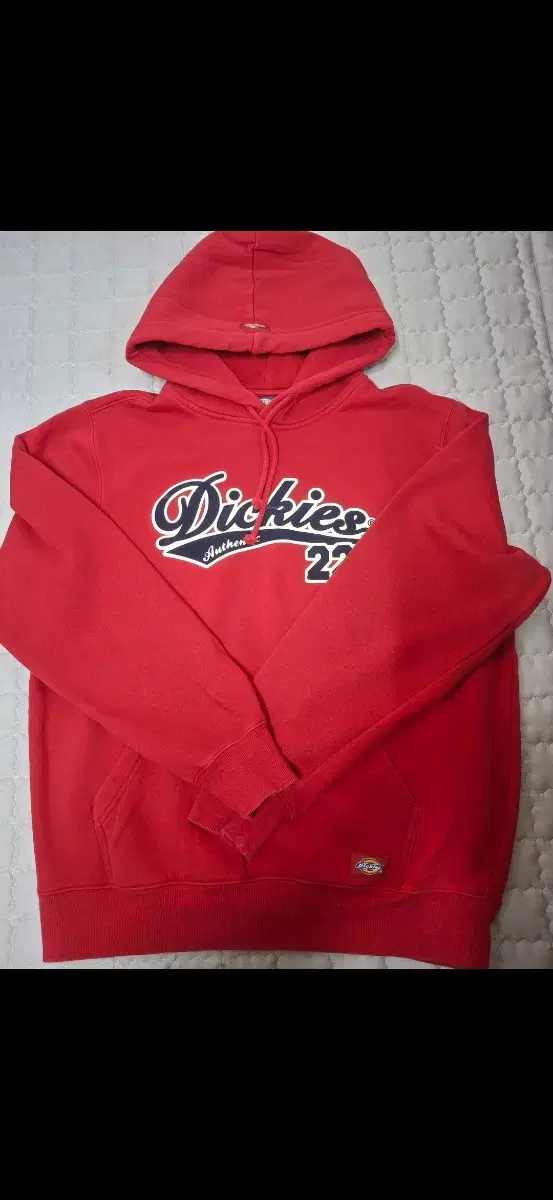 Dickies Brushed Hoodie (L100)