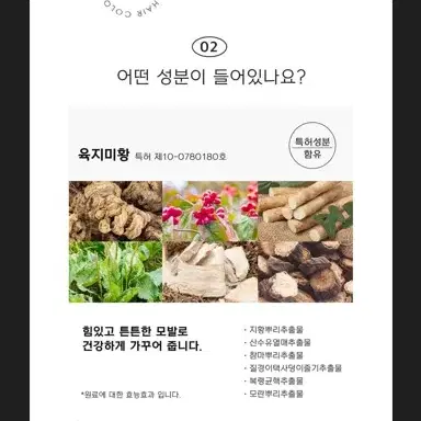 택포1만원 30회분 블랙빈 염색약_새치용 흑갈색