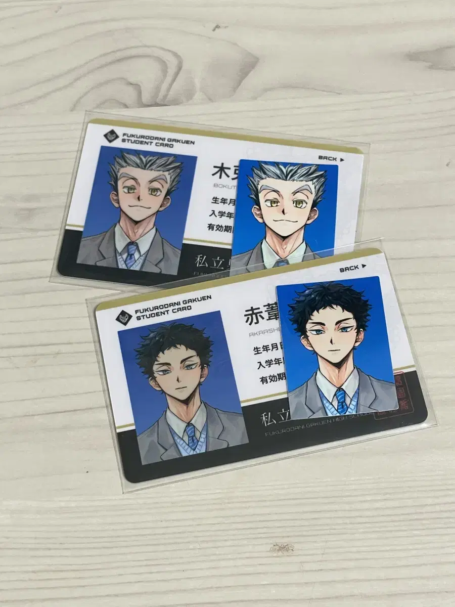 Haikyuu Bokuaka Bokuto Akaashi Student ID Photo Jetty-sama