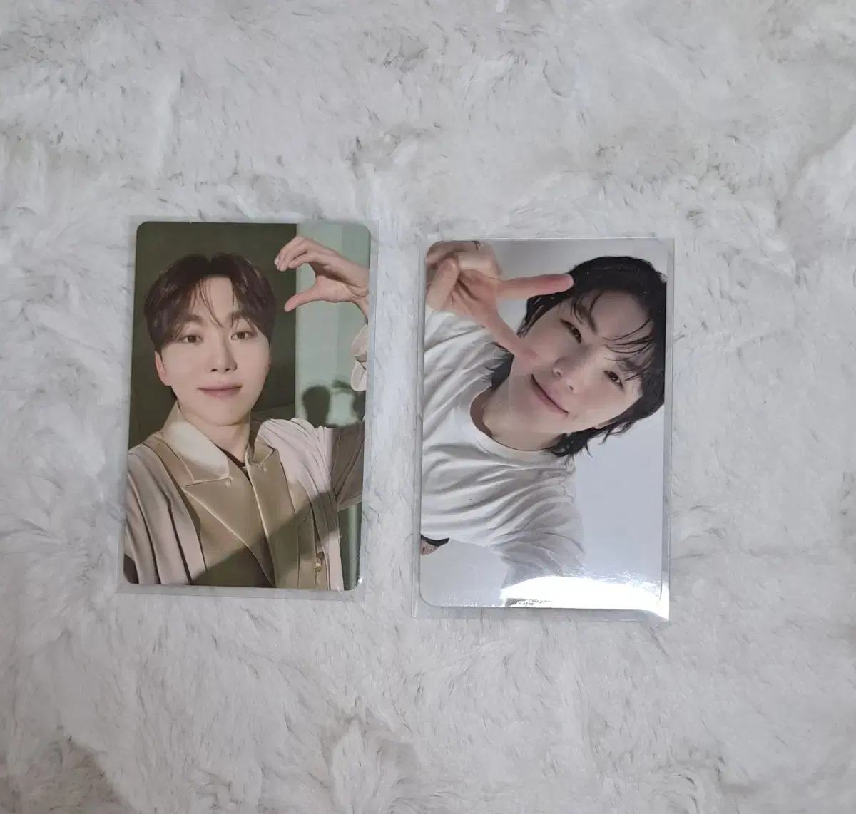 SEVENTEEN woozi seungkwan photocard wts Goyangkon tc Best Album Caratbahn