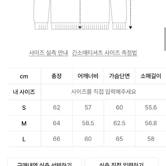 세터 이비자니트