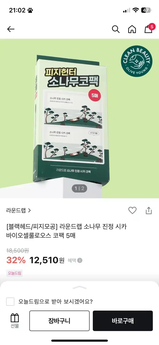 라운드랩 소나무 코팩