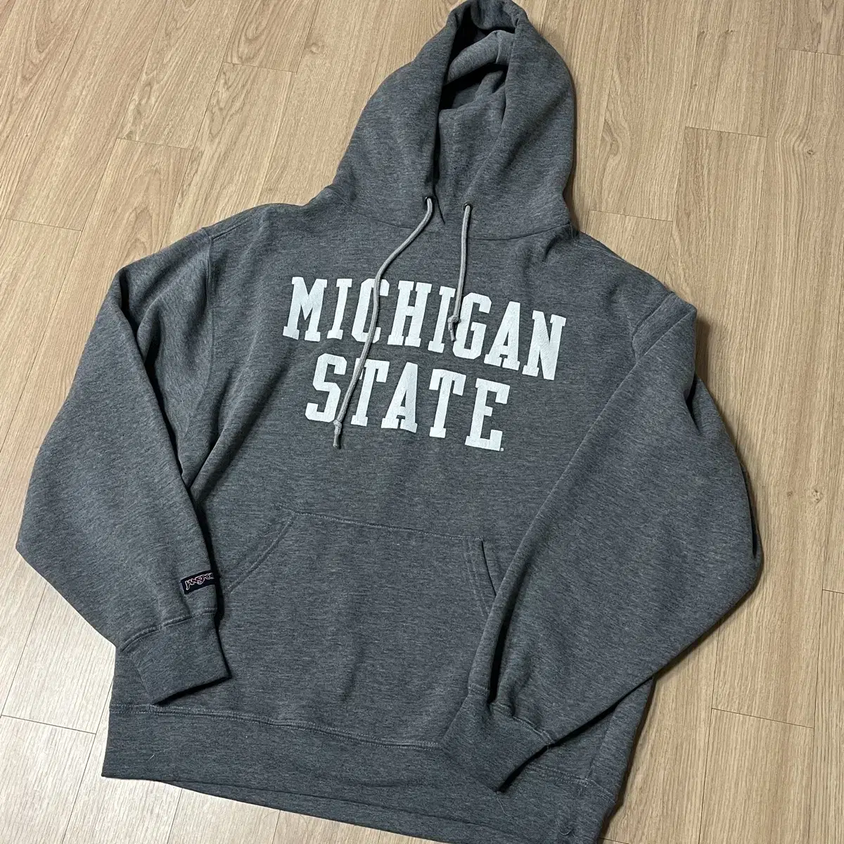 90s Jansport Michigan Hoodie