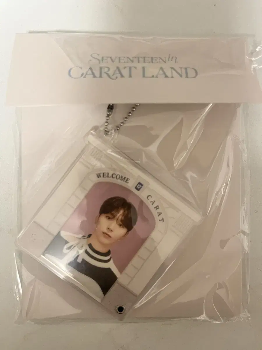 Seventeen seungkwan Caratland Acrylic Keyring md WTS