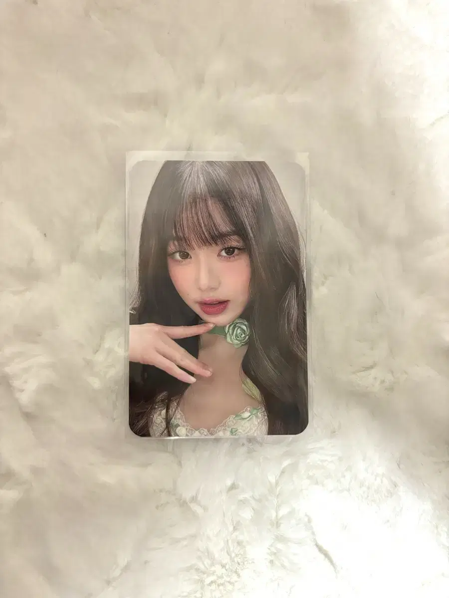 ive main taiwan wonyoung photocard wts