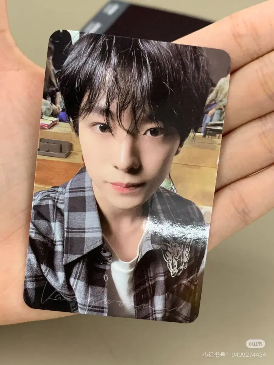 NCT wish QQ Music buncheol wts Steady unreleased photocard photocard sell Uushi Riku