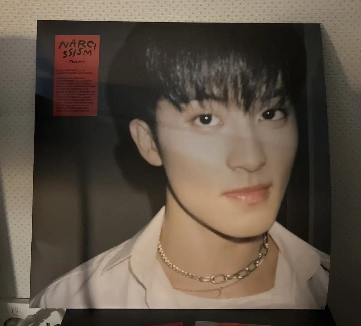 나르시시즘 마크 LP