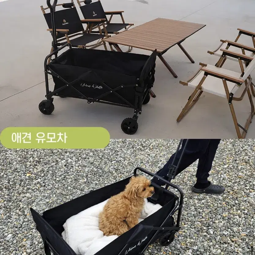 미사용 새상품) 캠핑웨건