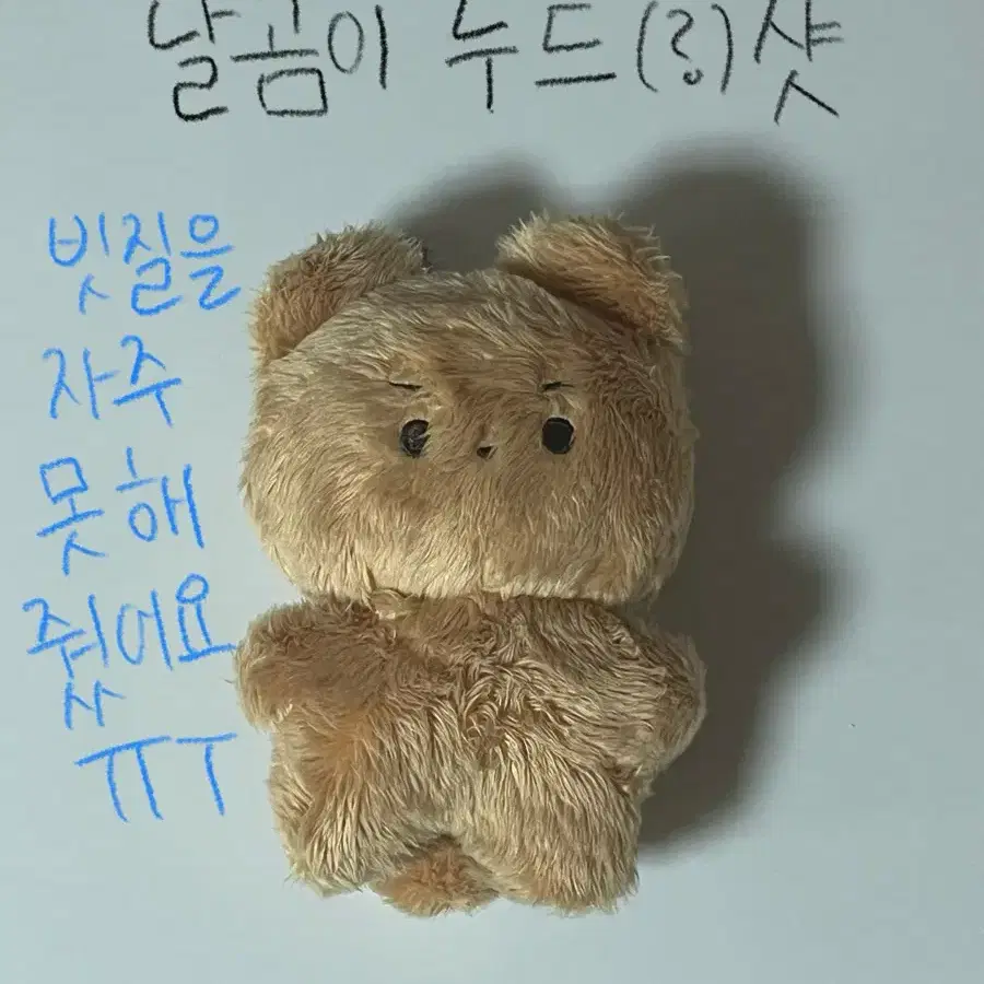 (가격내림!!)더보이즈 인형 키링 현재 이재현 달곰이 양도