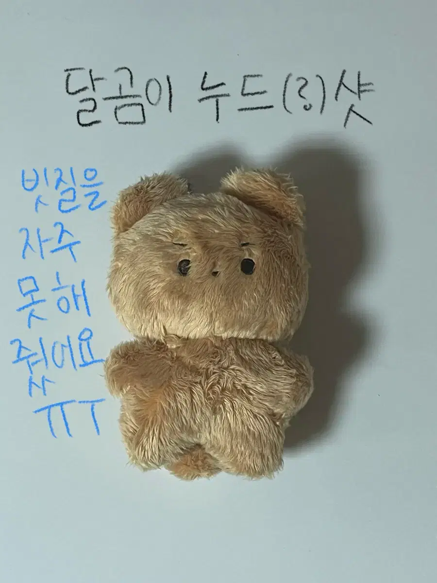 (가격내림!!)더보이즈 인형 키링 현재 이재현 달곰이 양도