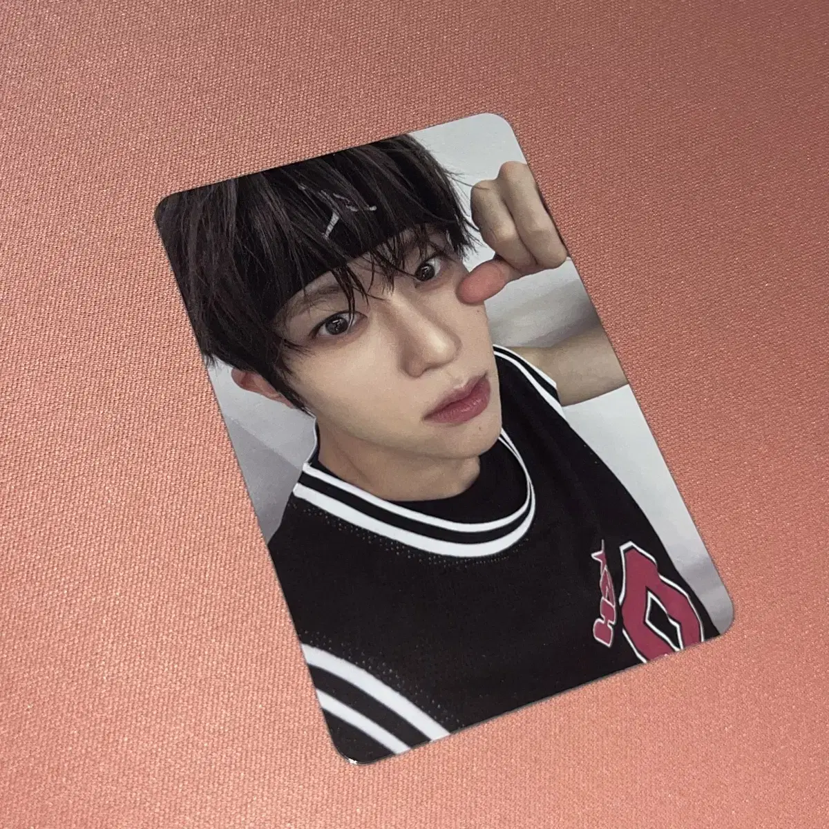 NCT wish Steady Q version sion Photocard