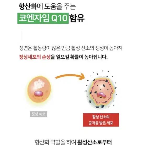 (새상품) 강아지 종합 영양제 심장 간 눈물자국 관절 항산화제 30정