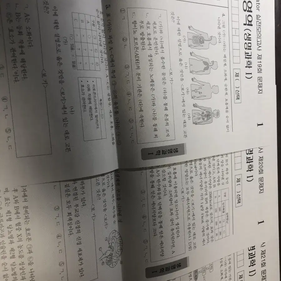 2025 윤도영 현강 실모 판매합니다