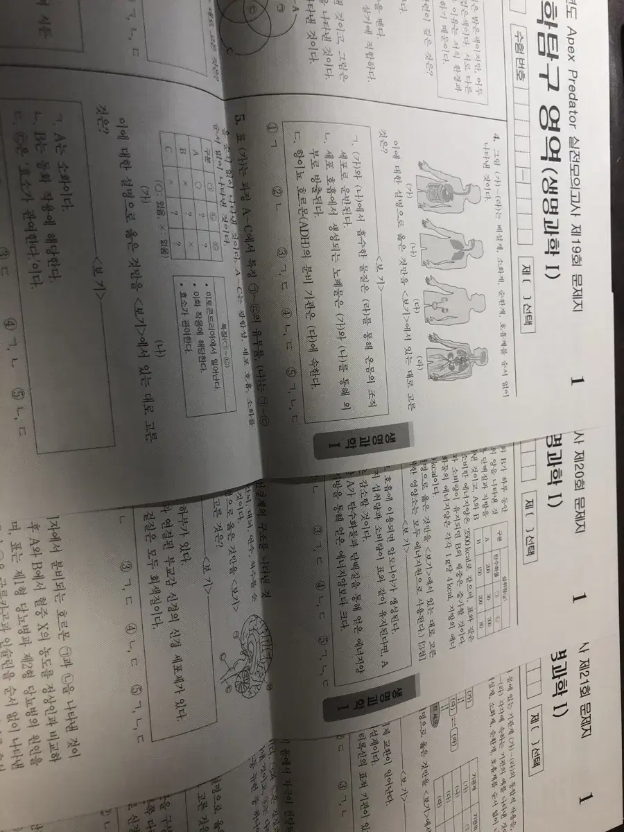 2025 윤도영 현강 실모 판매합니다