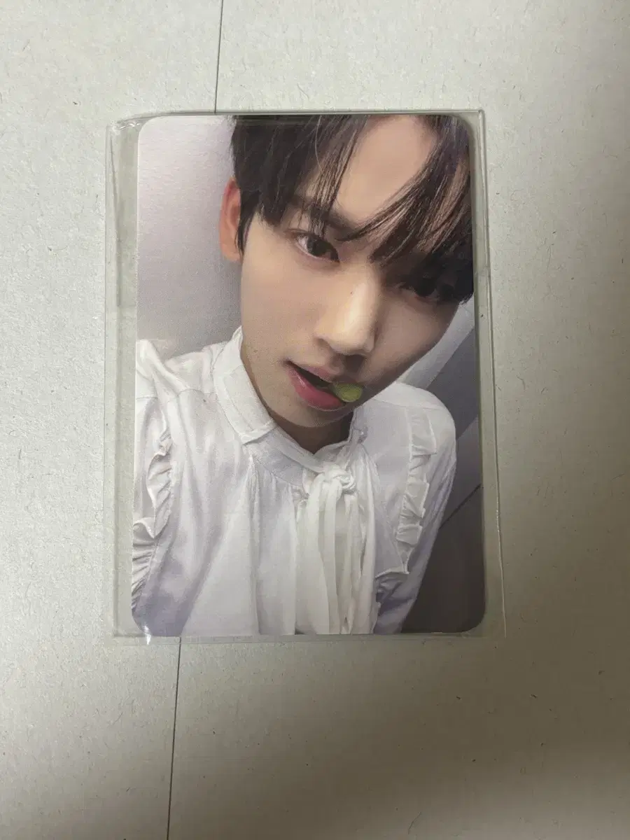 zerobaseone han yujin moremodern pop up passport photocard