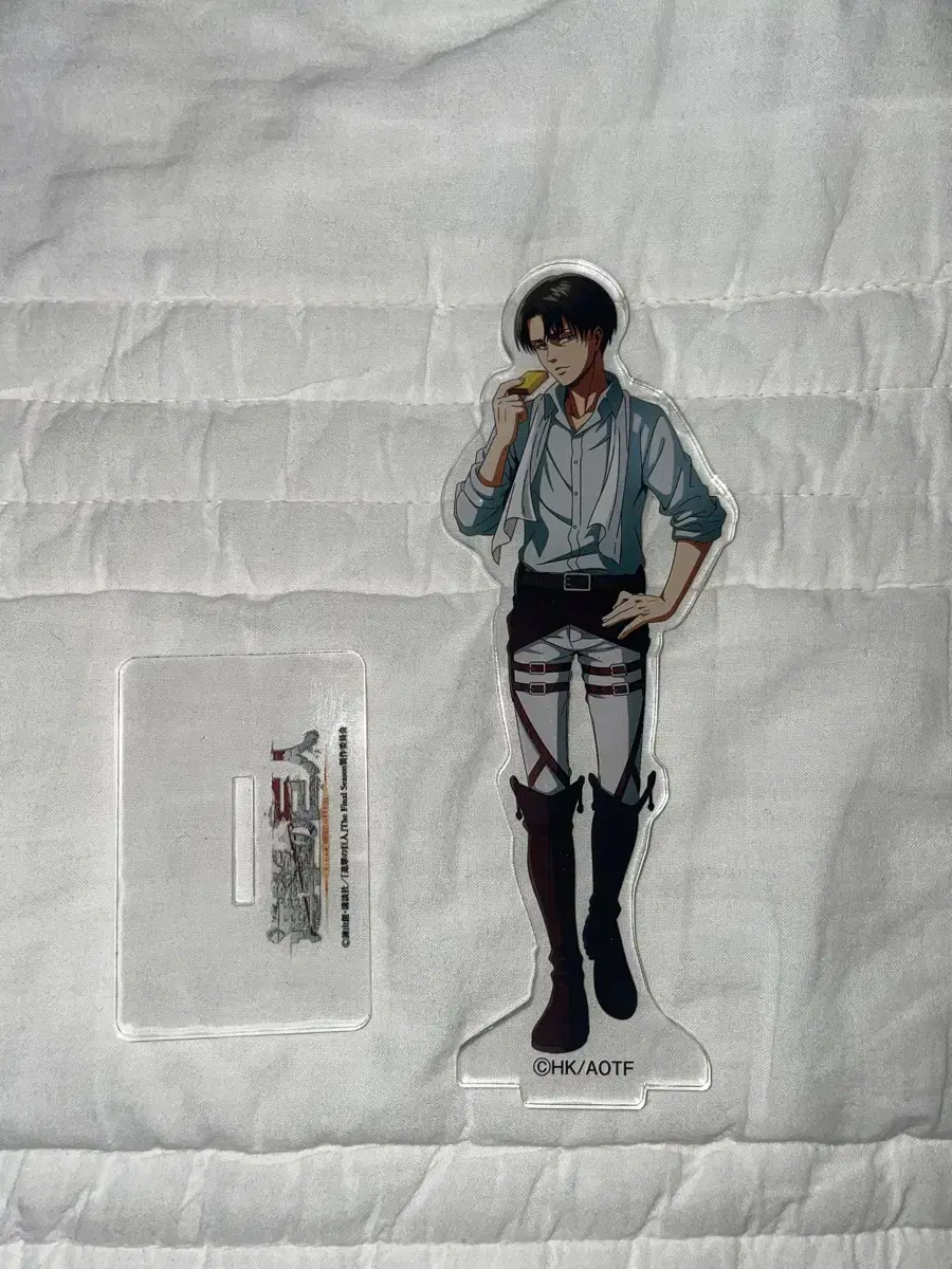 jin jin levi mikado castella acrylic