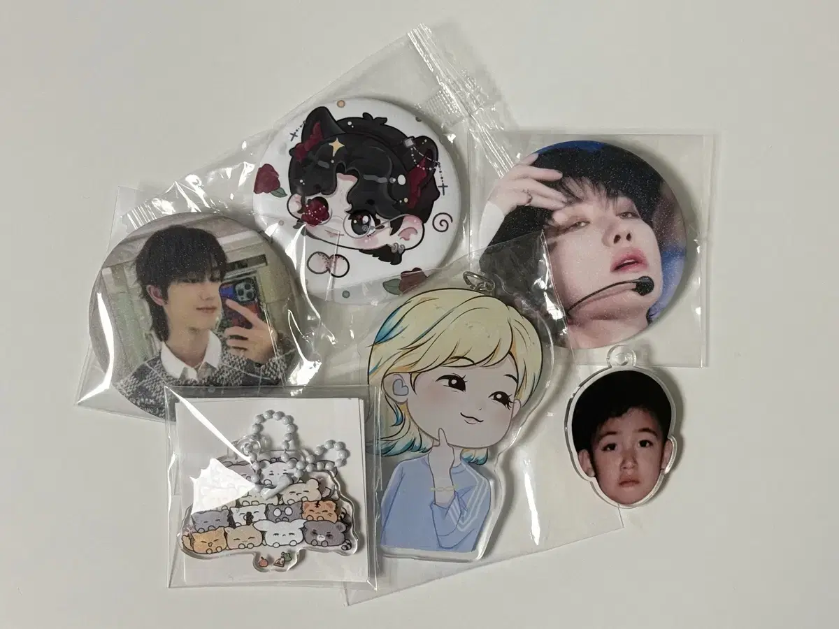 Seventeen unofficial goods Keyring Pack