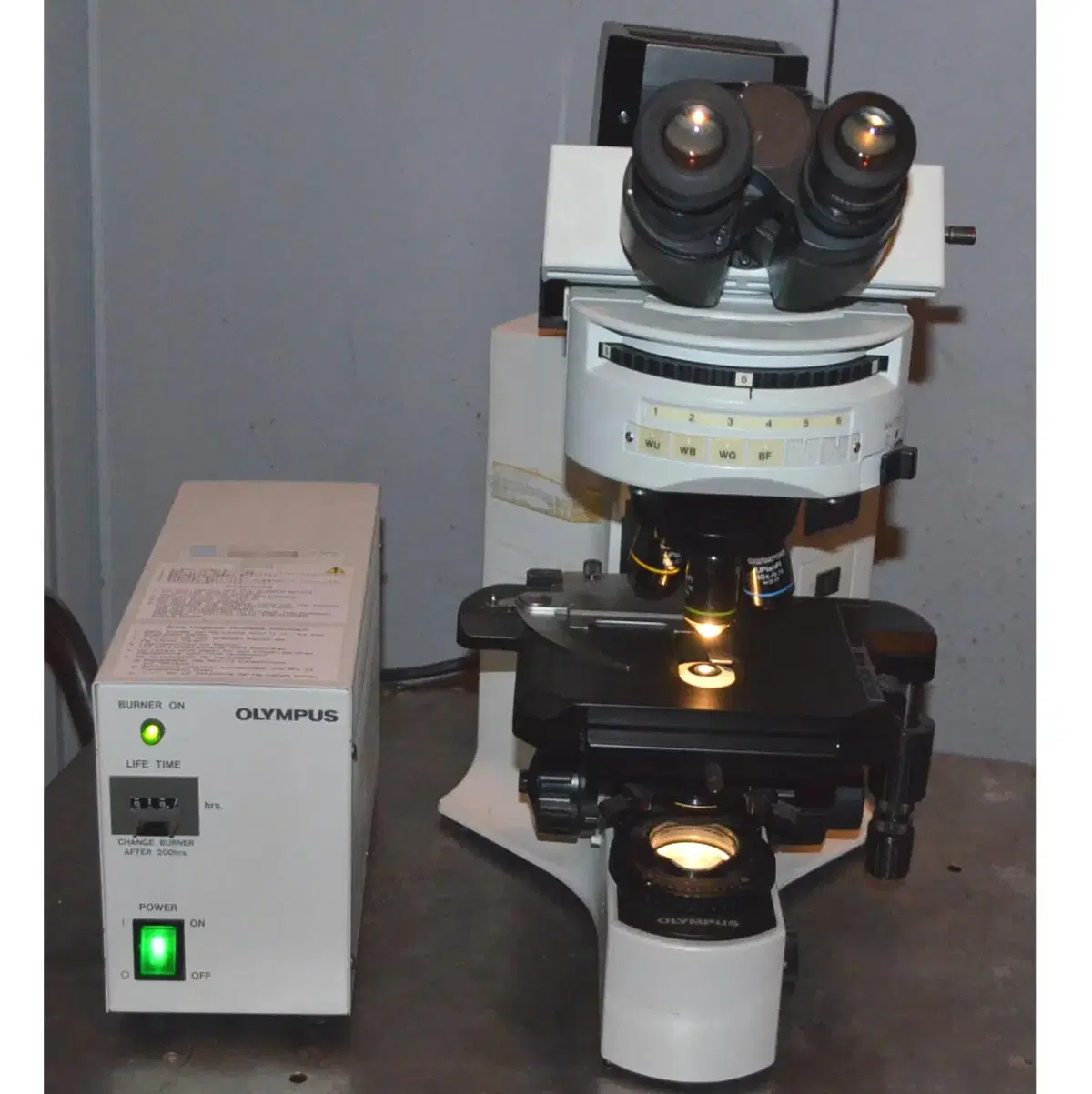 Olympus BX41 Fluorescence Microscope