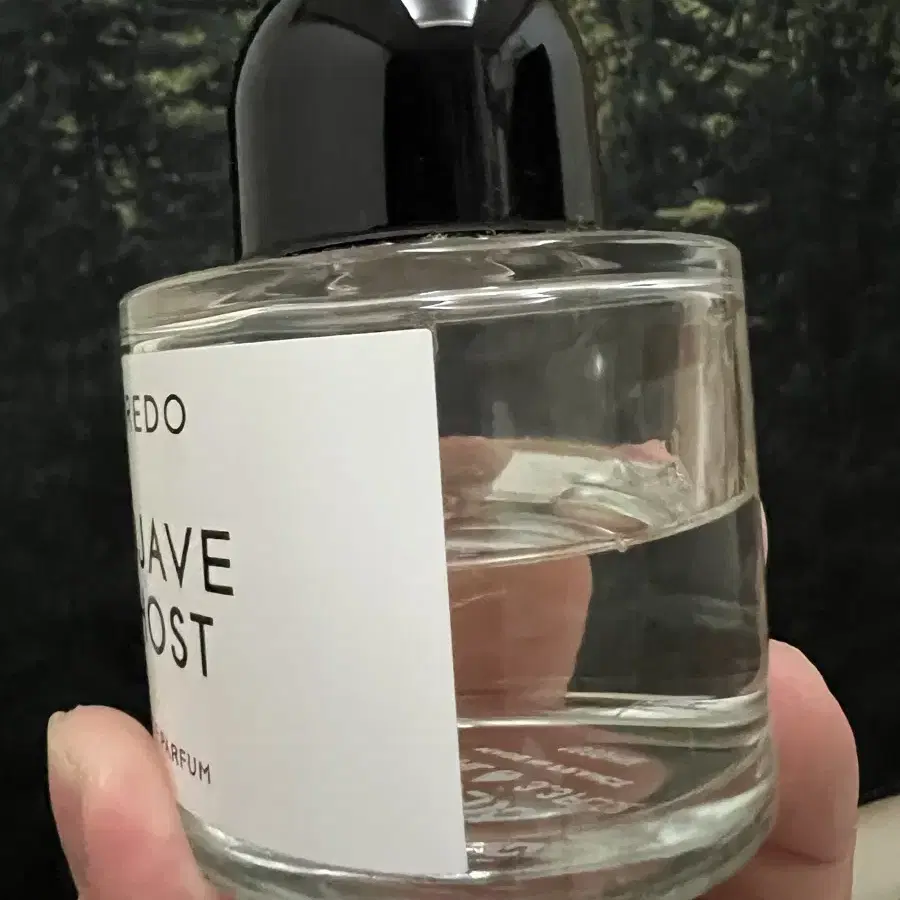 바이레도 모하비 고스트 100ml