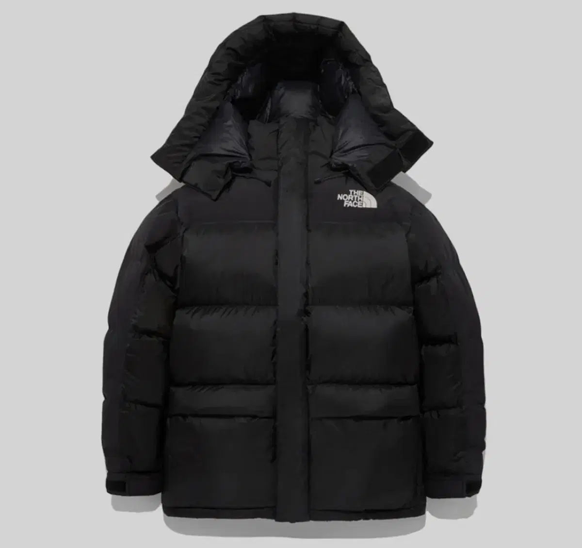 (NEW) The North Face 1994 Retro Power Down Parka Padded