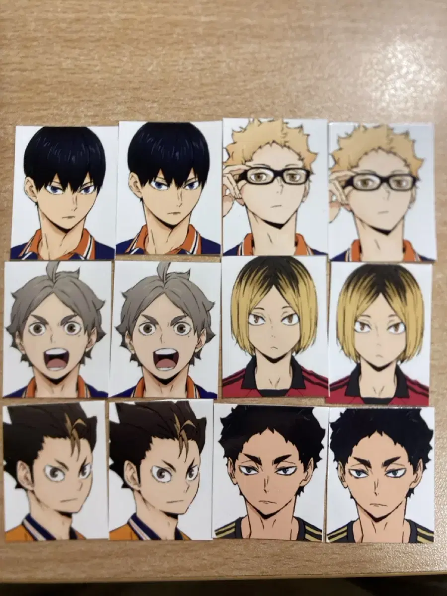 Haikyuu 증사