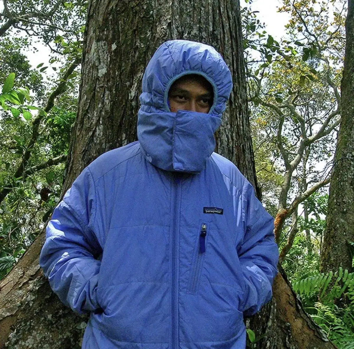 Patagonia Spherical Puff Jacket Padding