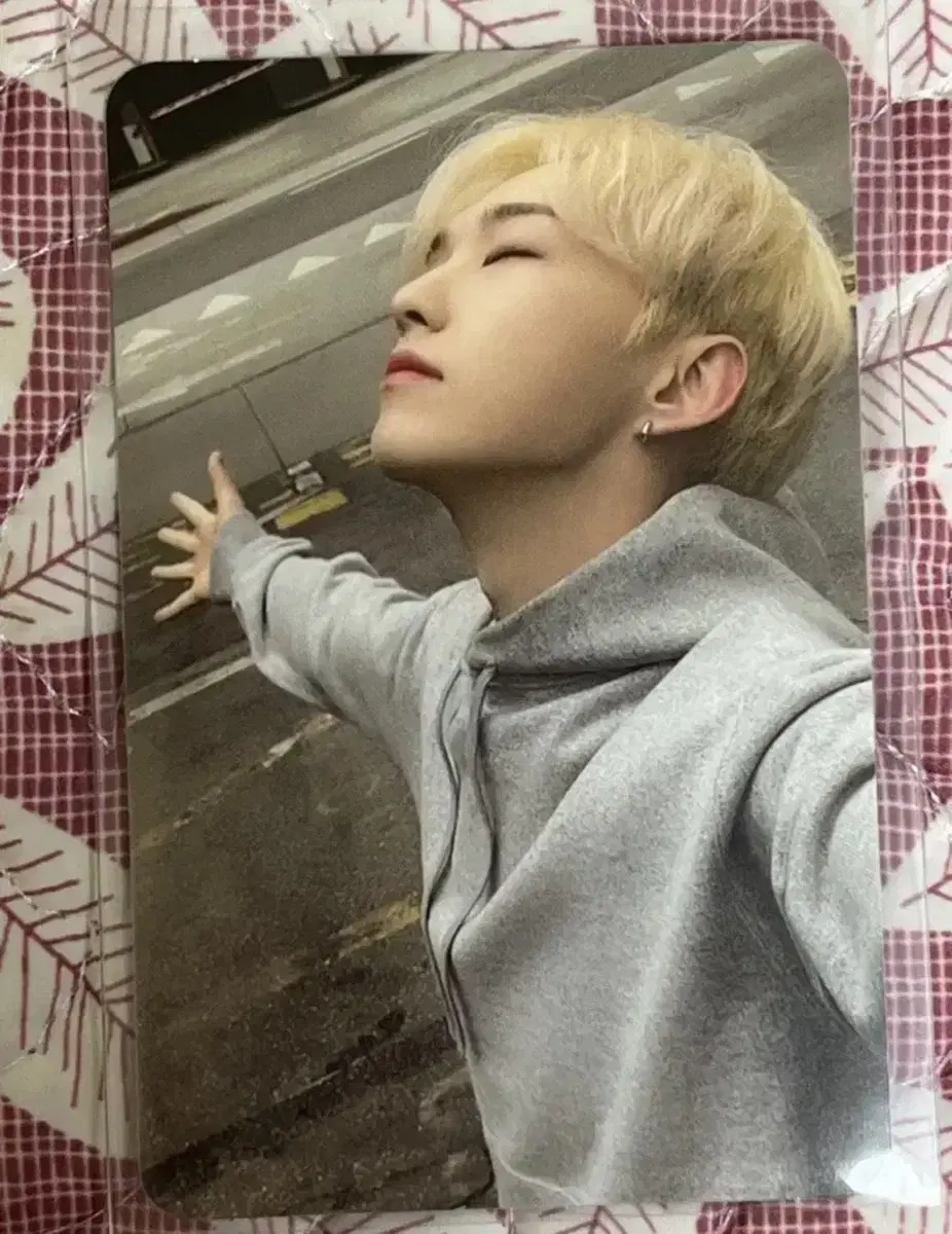 seventeen hoshi photocard rinse one