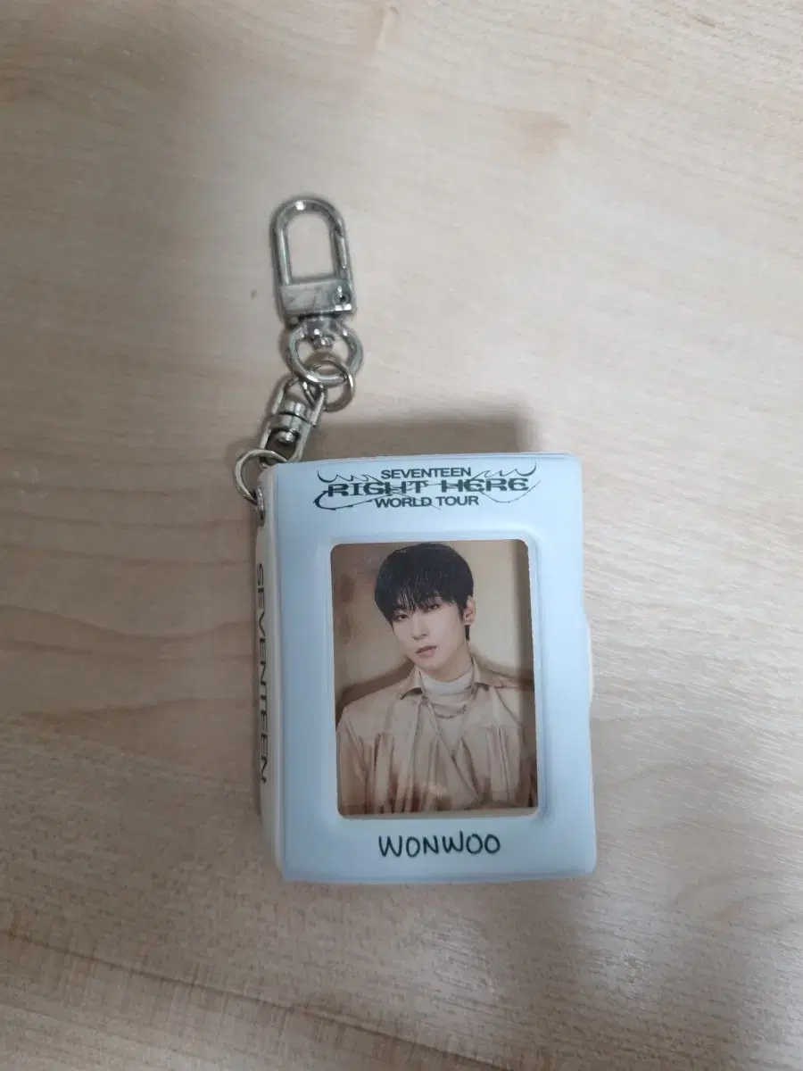 Seventeen wonwoo Mini collect book WTS