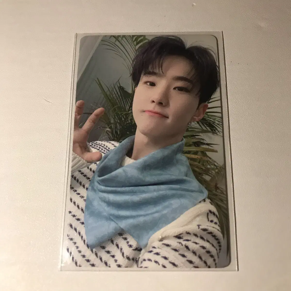 Seventeen Yucho ld hoshi photocard WTS