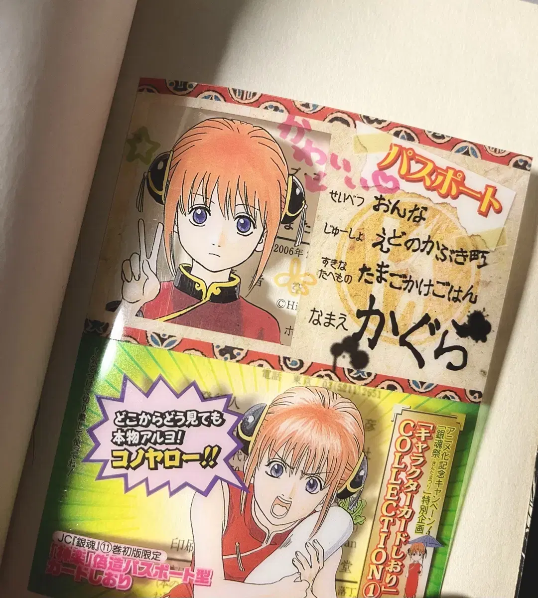 Gintama Kagura Passport Quotes Original Application