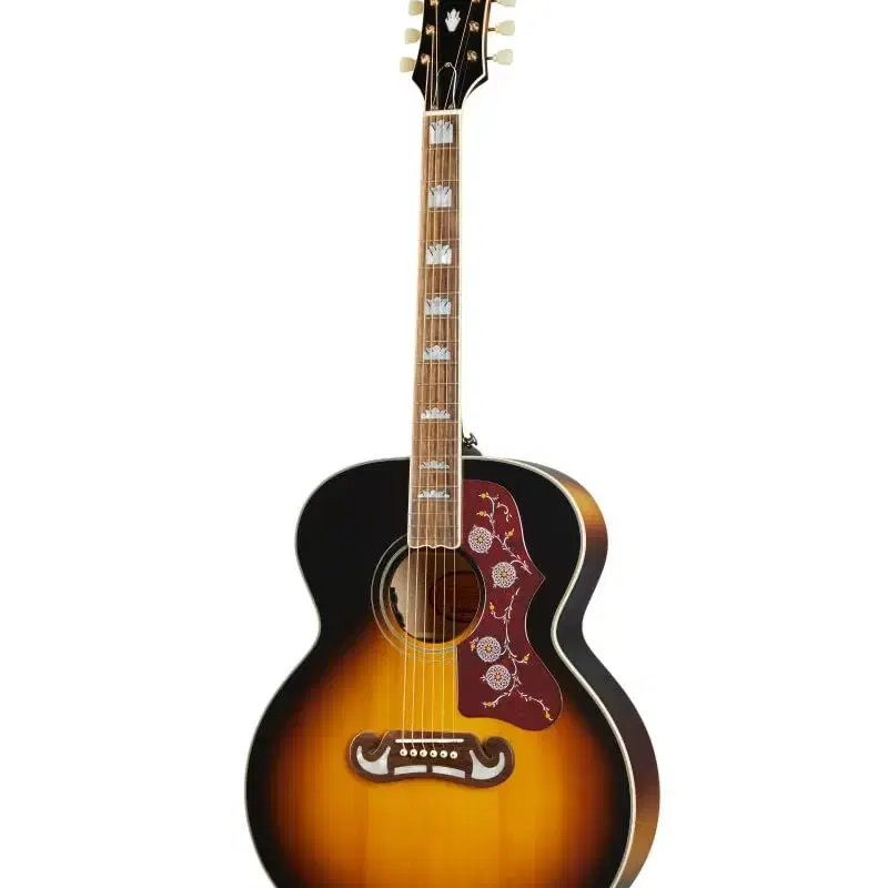 에피폰 j-200 inspired by gibson 구합니다