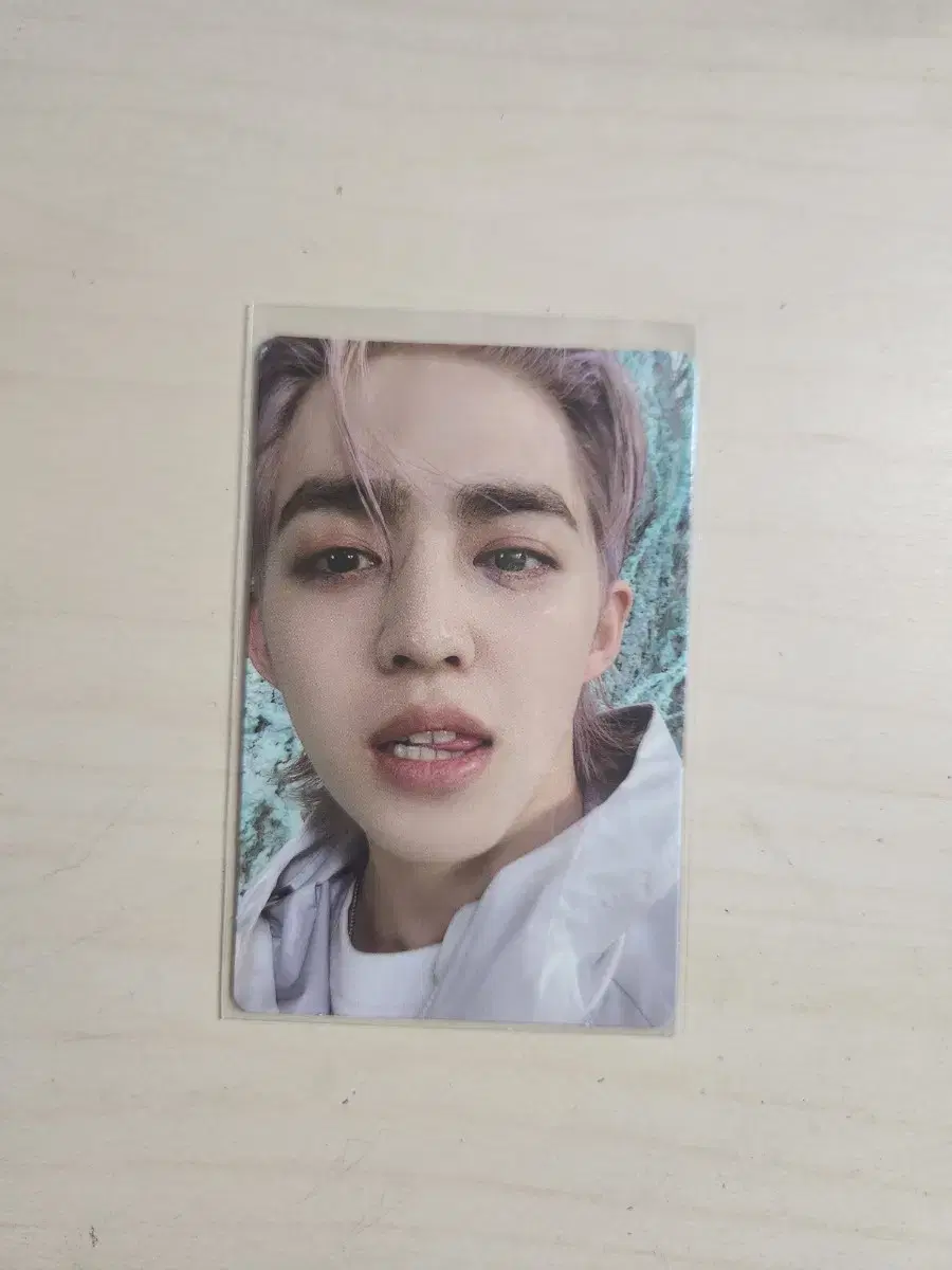 Seventeen Sector17 s.coups Alpo WTS