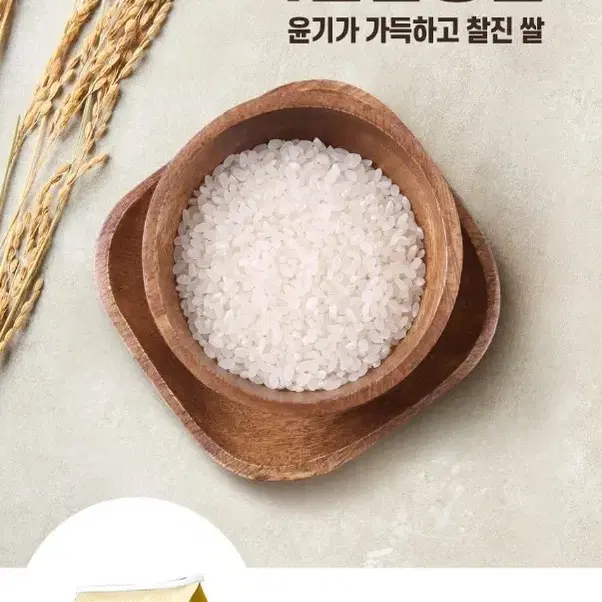 번개최저가 24년햅쌀 상등급 아산삼광쌀 20KG (10KG+10KG)