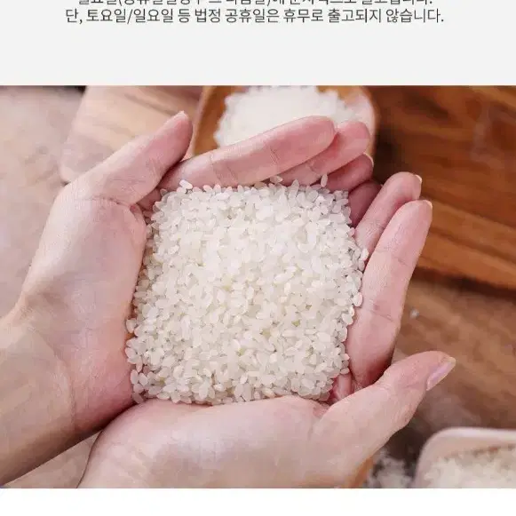 번개최저가 24년햅쌀 상등급 아산삼광쌀 20KG (10KG+10KG)