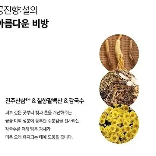 후 공진향 설미백3종화장품모듬세트 (필링젤포함)