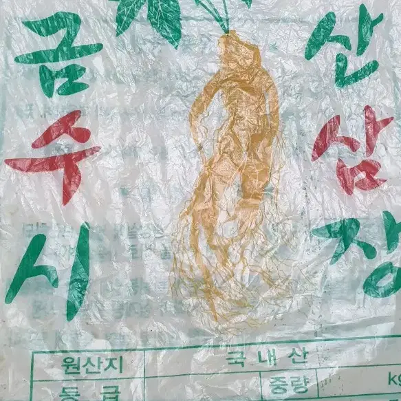 금산 수삼 인삼 10뿌리 1kg