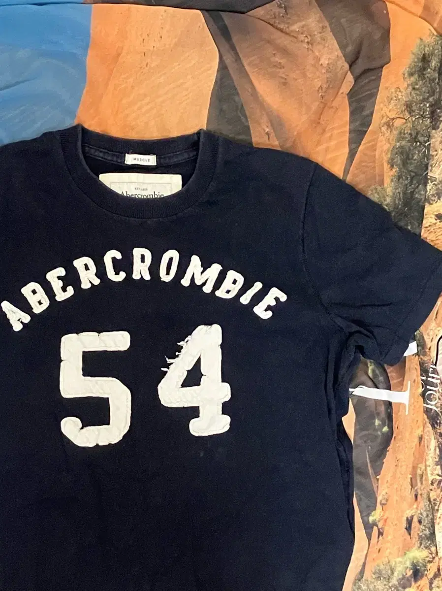 Abercrombie & Fitch Navy Vahn Tee