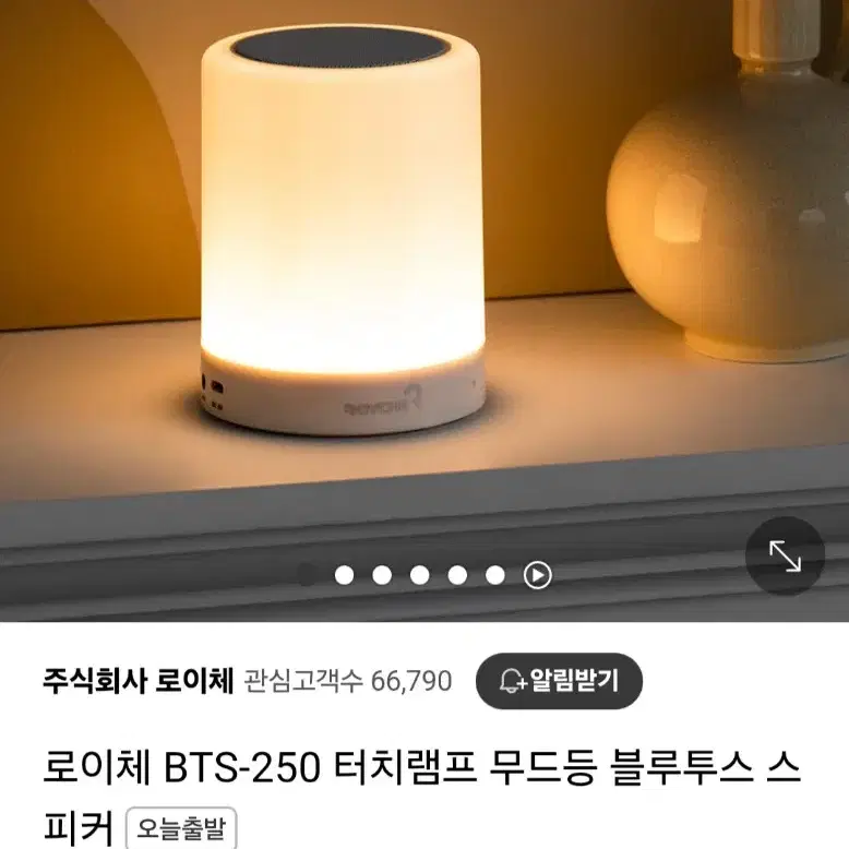 로이체 블루투스 램프 스피커 BTS-250