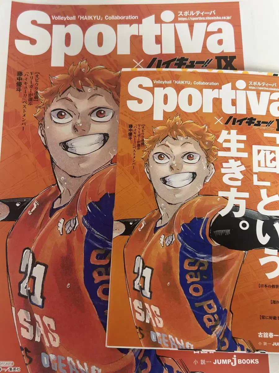 Haikyuu Sportiva hinata Wonseo Visual Board Tickets